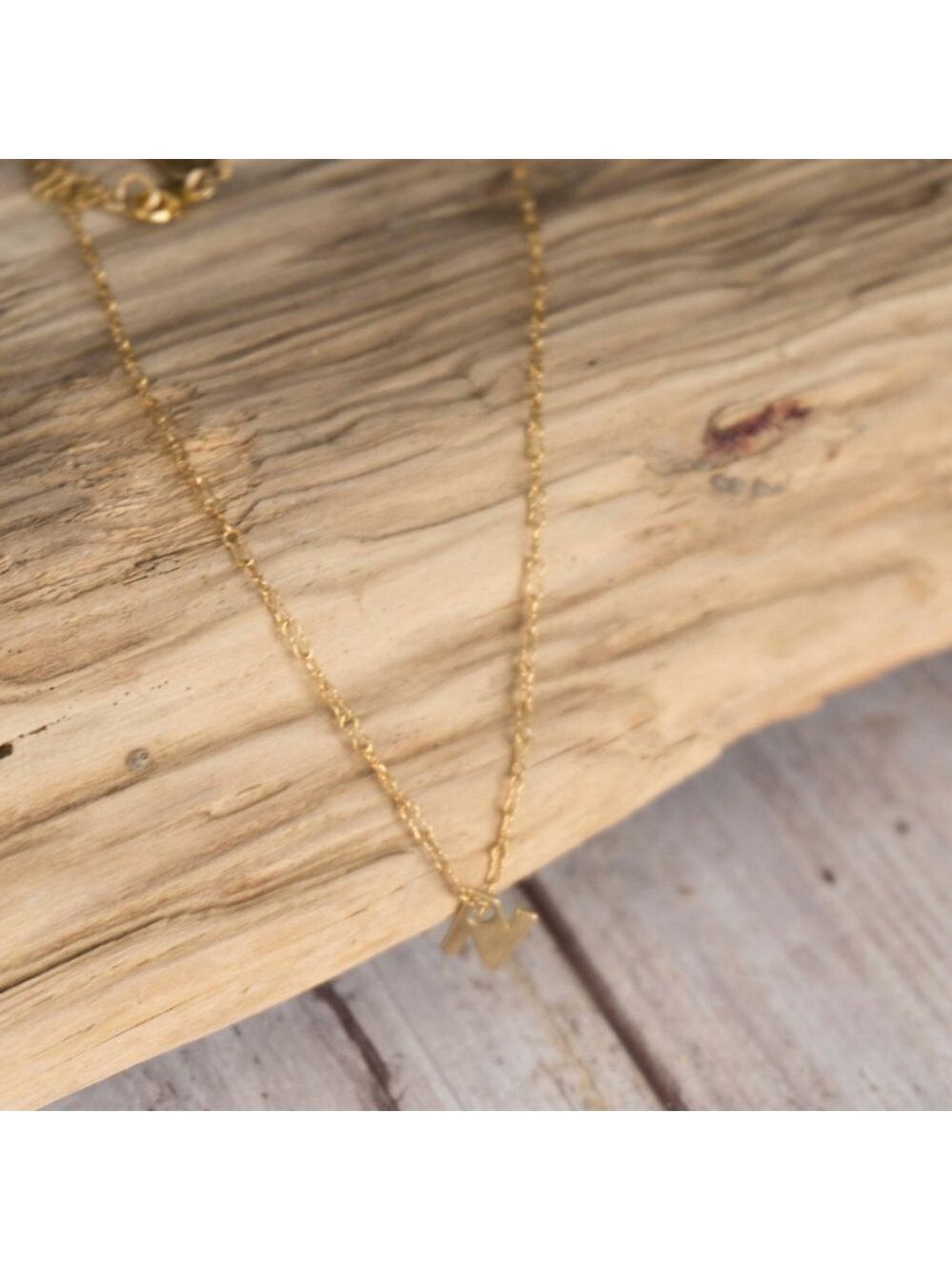 One of a Kind 14k Gold Vermeil Initial Necklace R